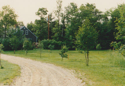 The Huston property and home in Poland Spring 1987